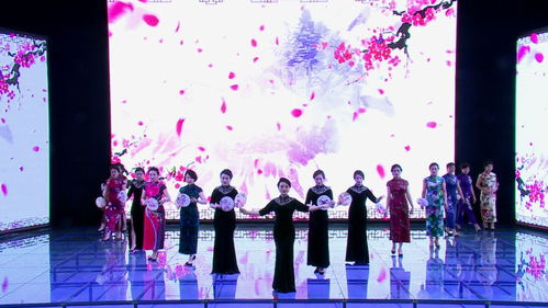 奇臺縣便民便企服務中心舉辦窗口服務禮儀展示活動，提升服務品質